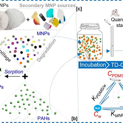 A Release And Exposure Sources Of Micro And Nanoplastic Particles