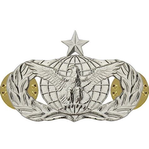 Air Force Force Protection Badge Usamm