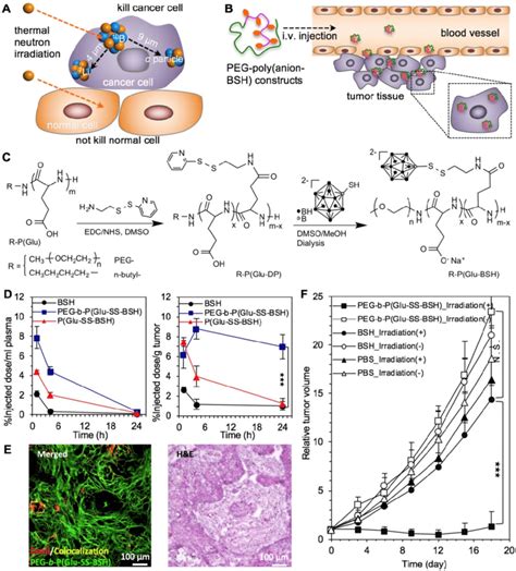 The Redox Responsive Nanocarriers For Drug Delivery To Tumors Toward