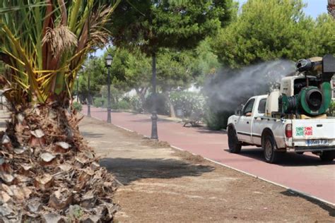 SAN PEDRO DEL PINATAR San Pedro Del Pinatar Intensifica La Lucha