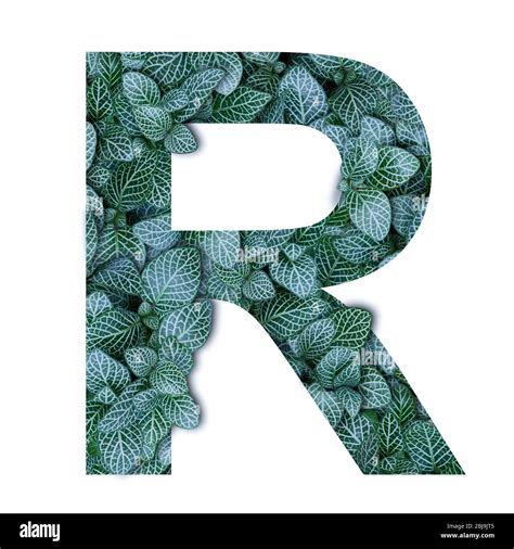 Nature Concept Alphabet Of Green Leaves In Alphabet Letter R Shapes