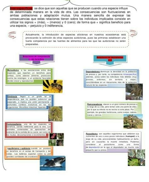 Cuadro Comparativo Act Relaciones Industriales Cuadro Comparativo Hot