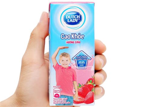 Dutch Lady Uht Strawberry Flavored Milk Box 170mlx48 Cao Khoe Wholesale Exporter Fmcg Viet