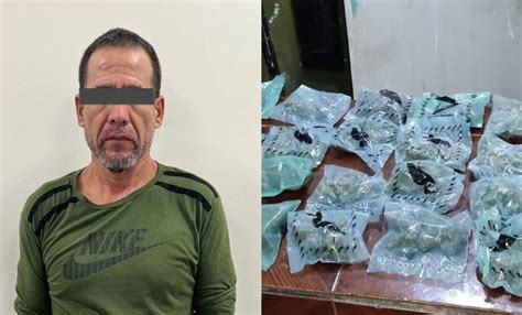 Detienen A Dos Y Decomisan Droga Tras Cateos En Ci Nega De Flores Los