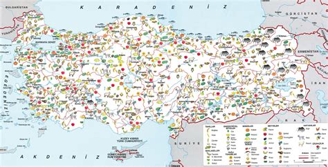 Bölgenizdeki Ekonomik Faaliyetler Haritası