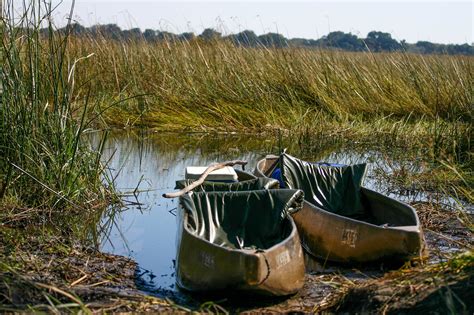 An Okavango Delta Safari in a Mokoro [Bucket List!]