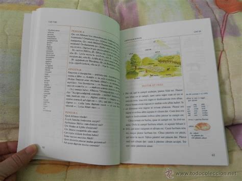 Lingua Latina Per Se Illustrata Docx Heritagevvti