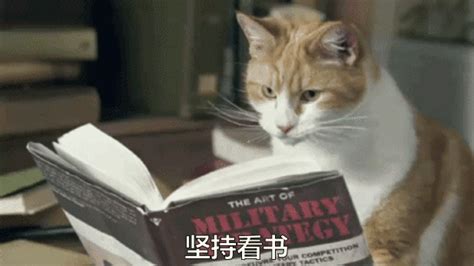 猫猫可爱翻书坚持看书动图动态图表情包下载soo