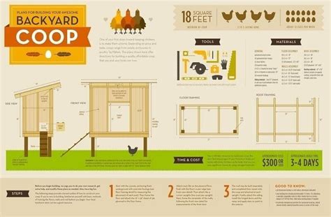 The Definitive Chicken Coop Guide For Growing Happy Chickens Diy Style