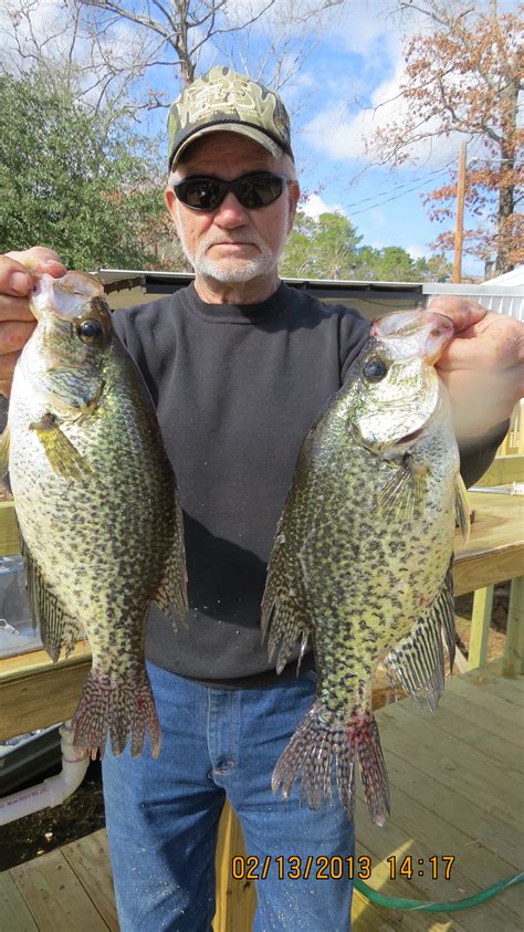 World Record Crappie Photo