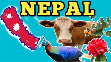 Top 103 + What is the national animal of nepal - Inoticia.net