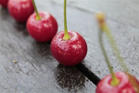 Fotos Gratis Fruta Flor Verano Comida Rojo Produce Caramelo De