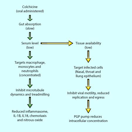 Repurposing Colchicine To Treat Covid-19