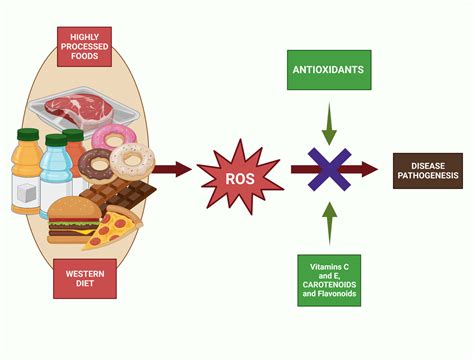 Nutrients Free Full Text Global Impacts Of Western Diet And Its