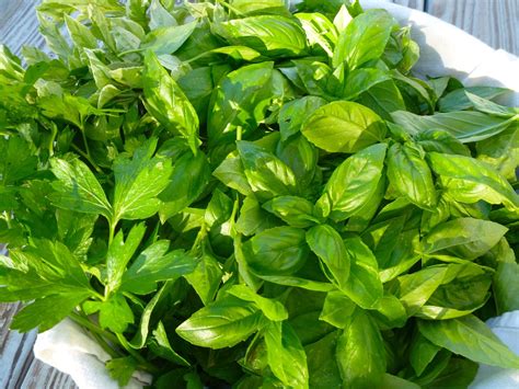 Basil Pesto Recipe