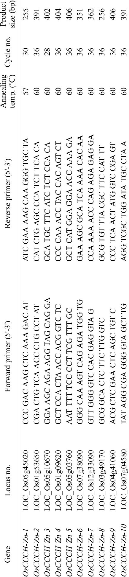 Forward And Reverse Primers Annealing Temperature Cycle Number And