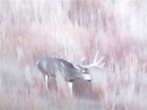 Big Muley Monster Muleys Community