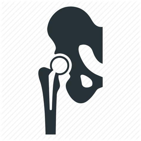 Free Hip-Joint Cliparts, Download Free Hip-Joint Cliparts png images ...