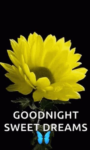 Goodnight Flowers GIF - Goodnight Flowers Sweet Dreams - Discover ...