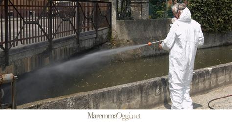 Caso Di Dengue Al Via La Disinfestazione In Notturna MaremmaOggi