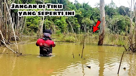 Mancing Toman Di Hutan Kalimantan YouTube