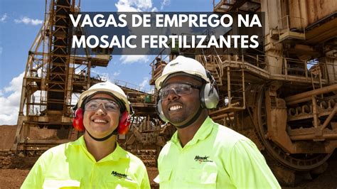 Gigante Do Mercado De Fertilizantes Mosaic Fertilizantes Anuncia Novas