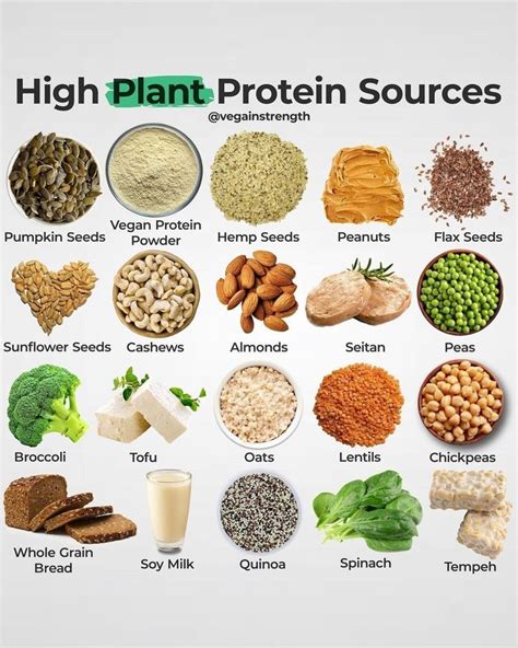 Vegan Nutrition Fitness Info On Instagram “plan Protein Sources By