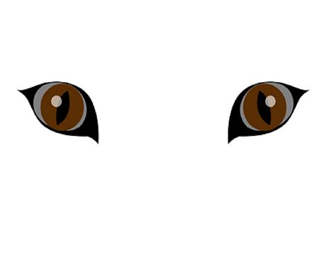 Royalty Vector Stock Lynx Eyes Stock Vector Vector Stock Wiki Fandom