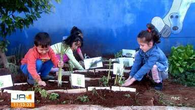 Jornal Do Almo O Chapec Crian As Aprendem Sobre As Plantas