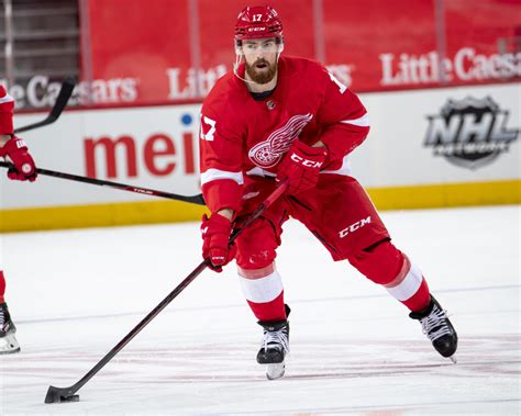 Detroit Red Wings Hronek Faces Defining Season In Young Career