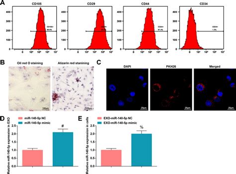 Identification Of Huc Mscs And Exo A Specific Markers Of Huc Mscs Download Scientific Diagram