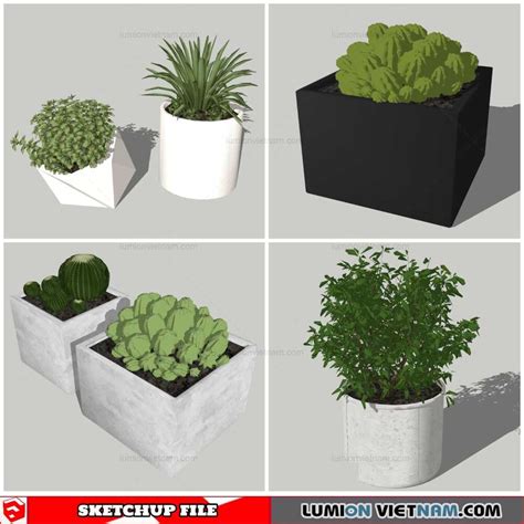 Plant Pots Sketchup Models