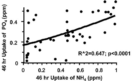 Trial 1 Polynomial Regression R 2 And P Values Are Given Between Download Scientific Diagram