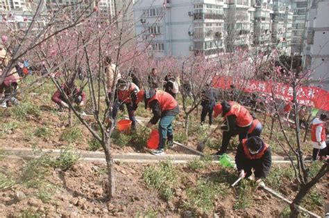 镇江擦亮生态底色 厚植绿色家底 我苏网