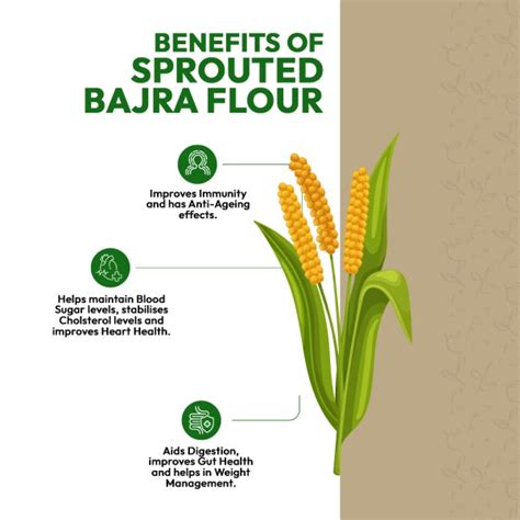 Sprouted Bajra Nutritional Value Besto Blog