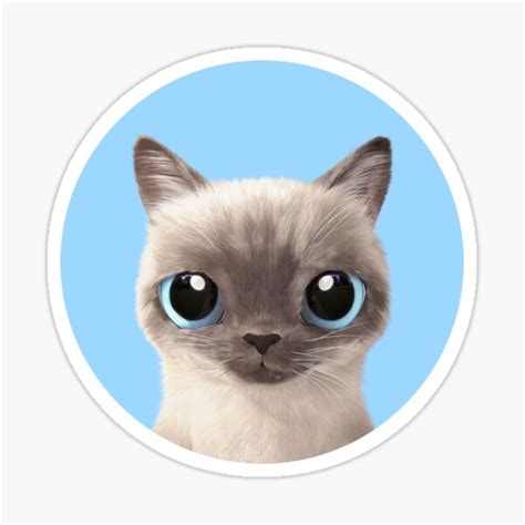 Toto Sticker For Sale By Sugarcat Redbubble
