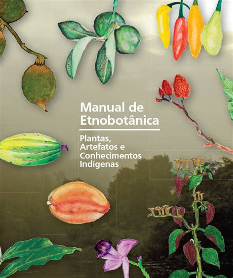 Manual De Etnobot Nica Plantas Artefatos E Conhecimentos Ind Genas