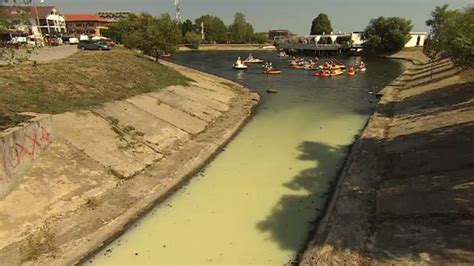 Sta Iunea Unde Turi Tii Noat N Ap Toxic Contaminat Cu Fecale