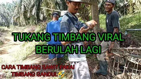 Tukang Timbang Viral Berulah Lagi Cara Timbang Sawit Manual Pakai