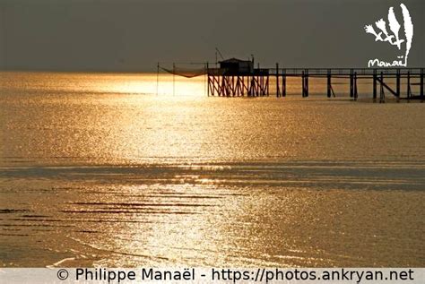 Carrelet Plage D Aytr La Rochelle Ankryan Photos