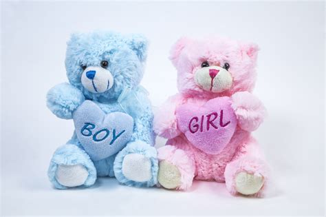 small teddy pink cottage garden