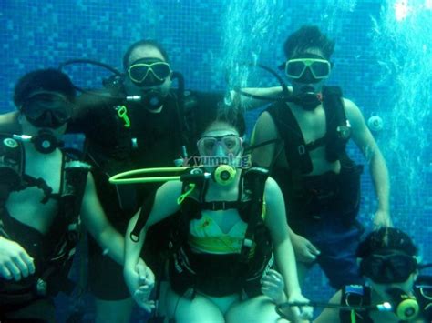 Curso Buceo Básico 2 meses con prácticas y teoría desde 6900 Yumping