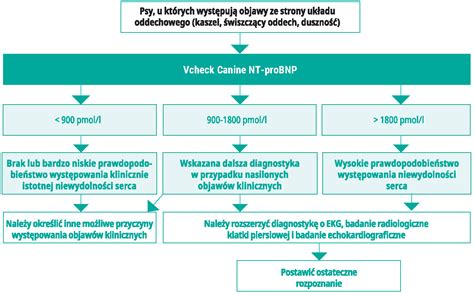 Wykorzystanie Badania Nt Probnp W Praktyce Klinicznej Vetkompleksowo