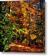autumn walk photograph  david patterson fine art america