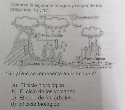 Observa La Siguiente Imagen Y Responde Las Preguntas 16 Y 17 1 16