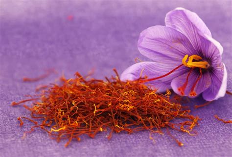 Kebaikan Saffron Untuk Lelaki Perempuan Yang Ramai Tak Tahu