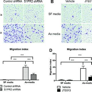 Inhibition Of S1PR2 By Its Specific Antagonist JTE013 Suppressed