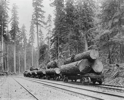 Logging Train 1930s Old Photo Washington Black And White