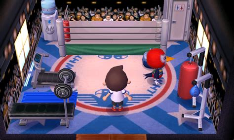 Animal Crossing Boxing Ring Noonaday