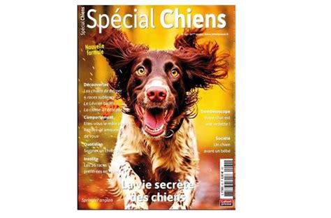 Abonnement au magazine Spécial Chiens pas cher 17 les 2 ans au lieu